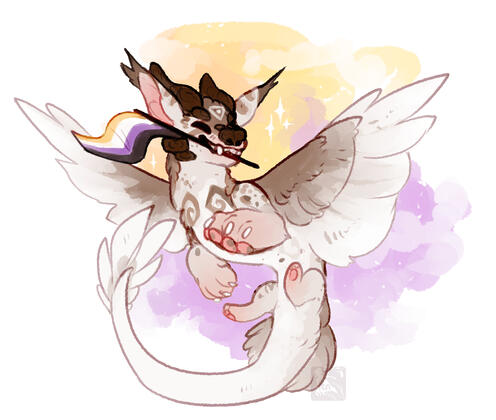 Non-binary pride