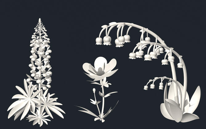 Some flower models
